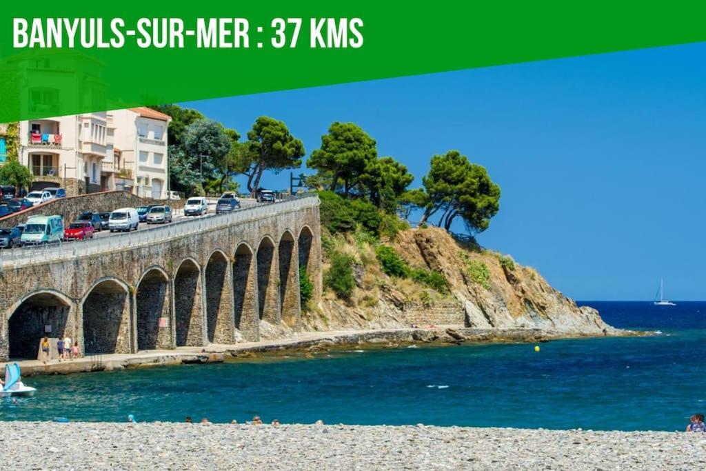 Le Carrousel - Apt Vue Mer - Plage A 10 M - Clim - Wifi Canet-en-Roussillon Dış mekan fotoğraf